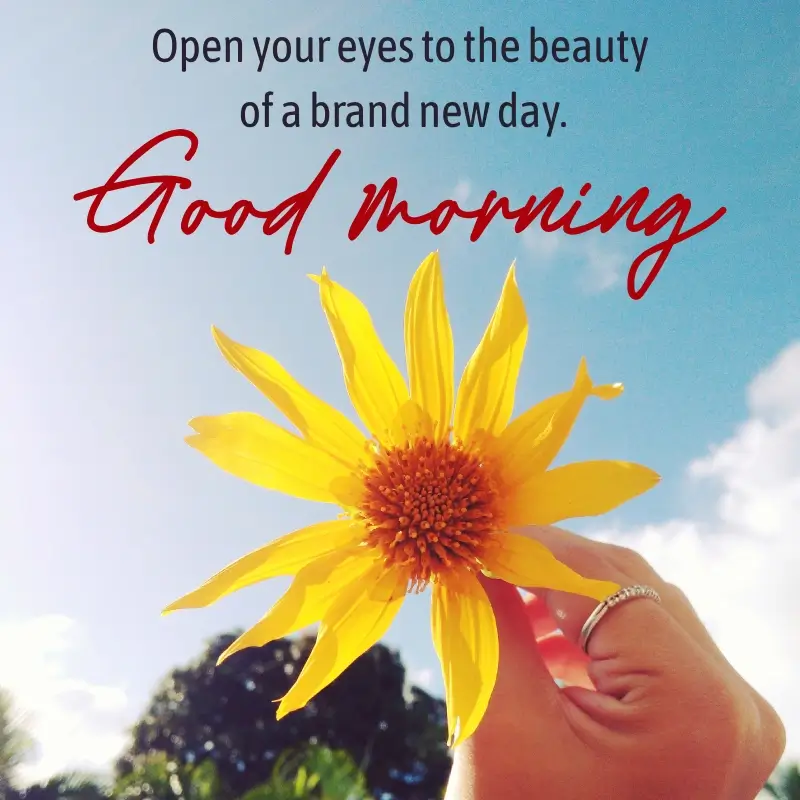 Good Morning Healing Messages