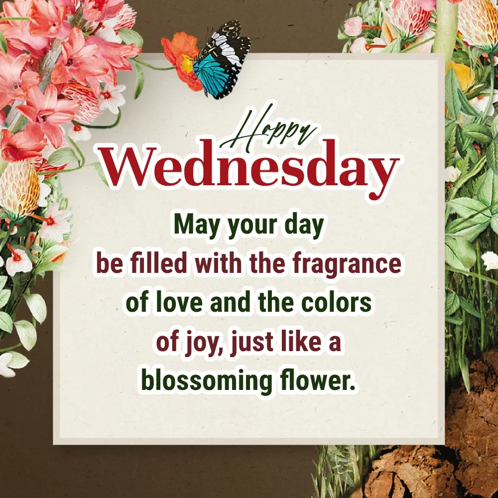 Good Morning Image Of Wednesday