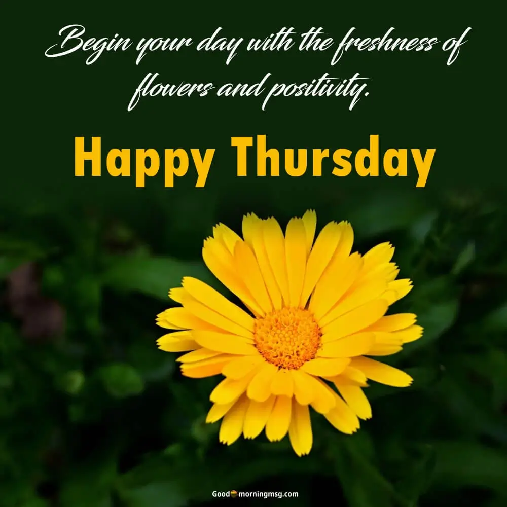 Good Morning Images