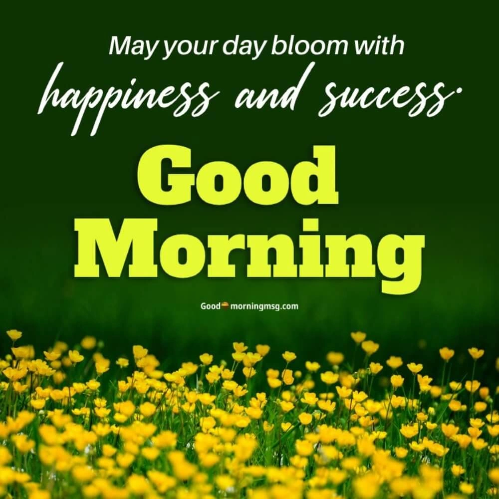 Good Morning Images Flowers Gif I Blessingsimages