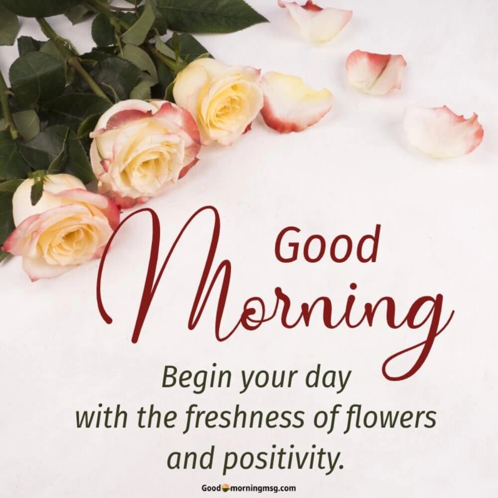 Good Morning Images I Blessingsimages