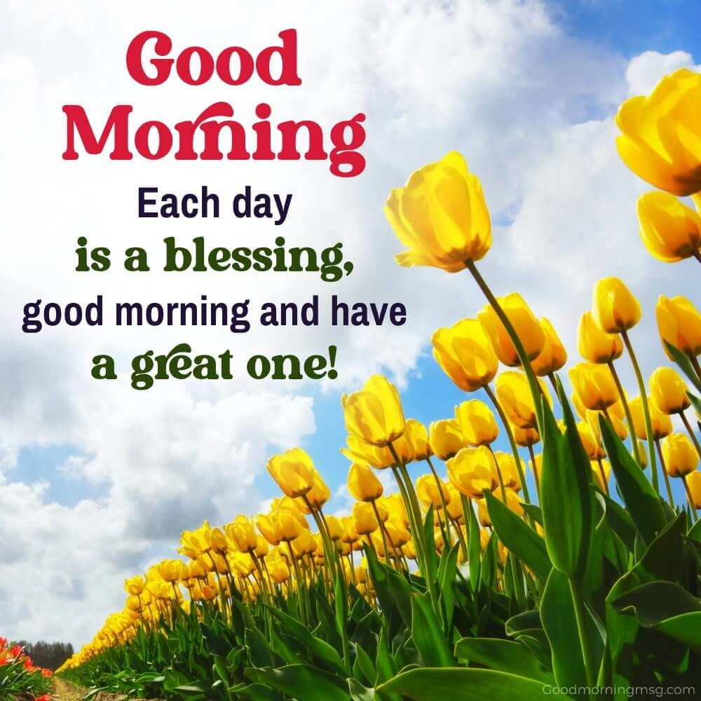 Good Morning Images Quotes Greetings I Blessingsimages