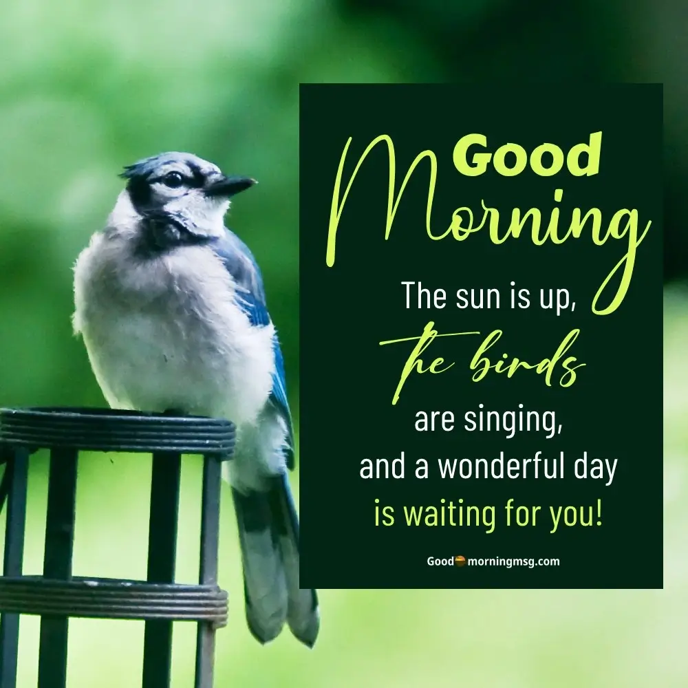 Good Morning Images With Birds And Flowers