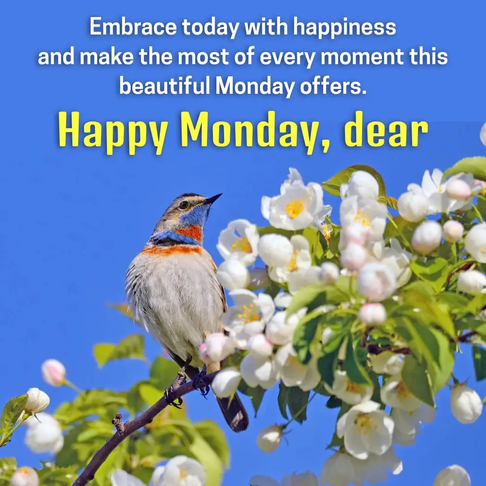 Good Morning Images With Quotes