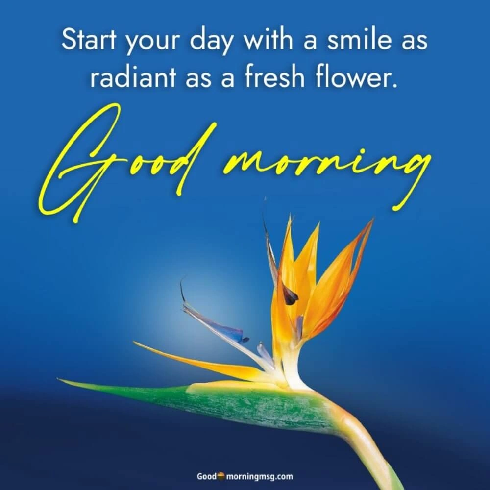 Good Morning Love Images I Blessingsimages