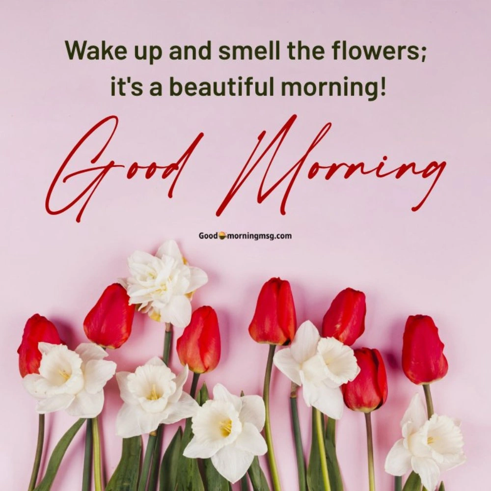 Good Morning Messages And Images I Blessingsimages