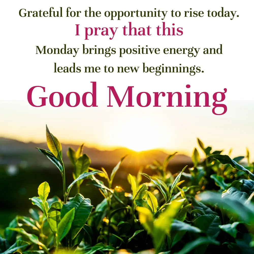 Good Morning Monday Images For Whatsapp Free Download