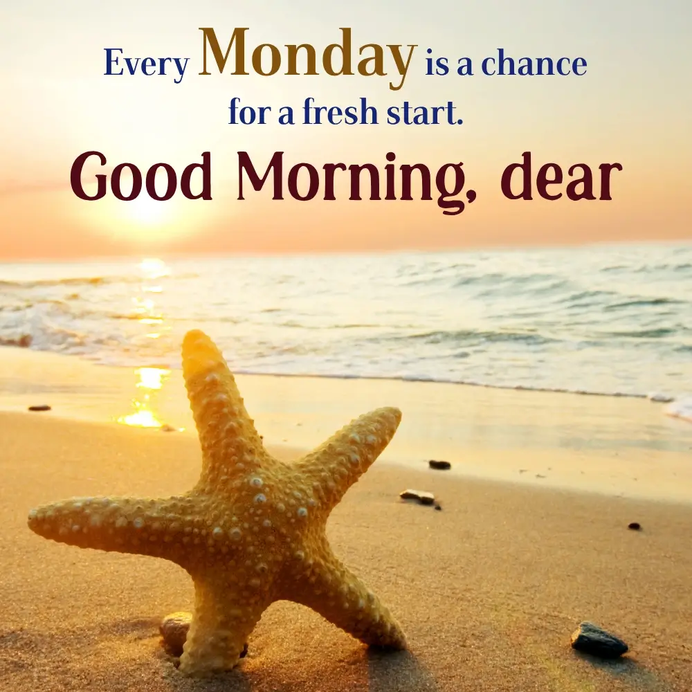 Good Morning My Beautiful Friend