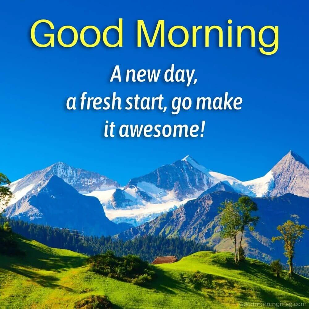 Good Morning Nature Pic
