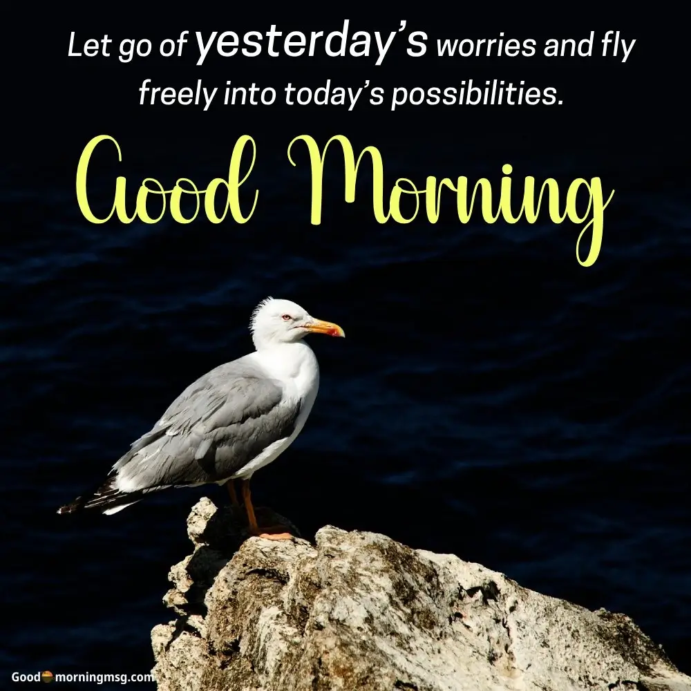 Good Morning Positive Quotes