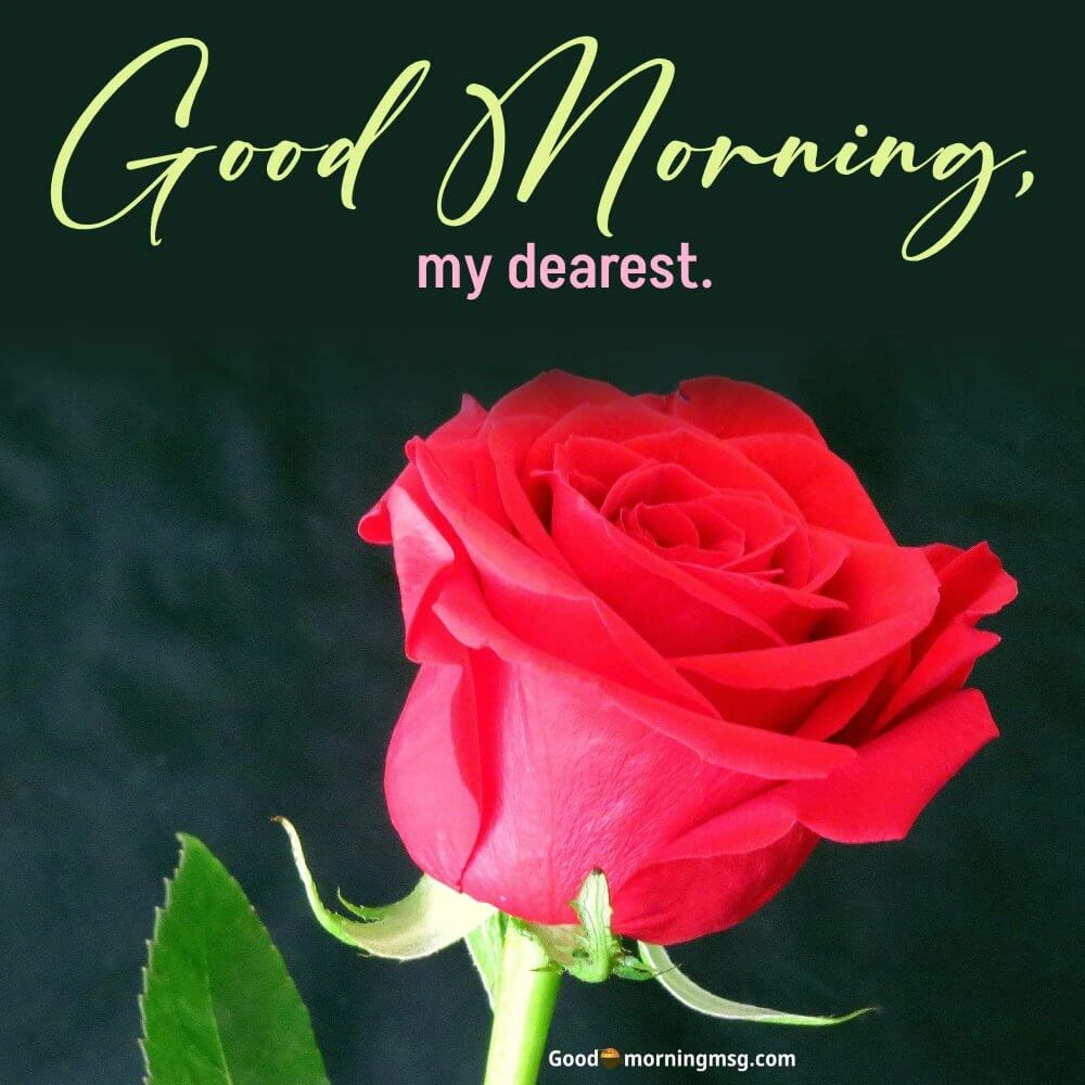 Good Morning Quotes For Friends