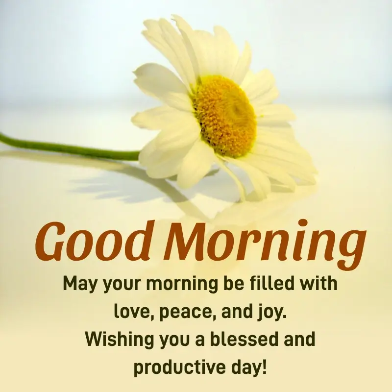 Good Morning Saturday Blessings