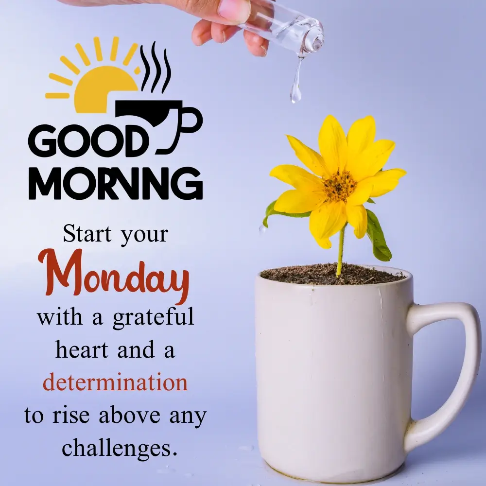 Good Morning Spring