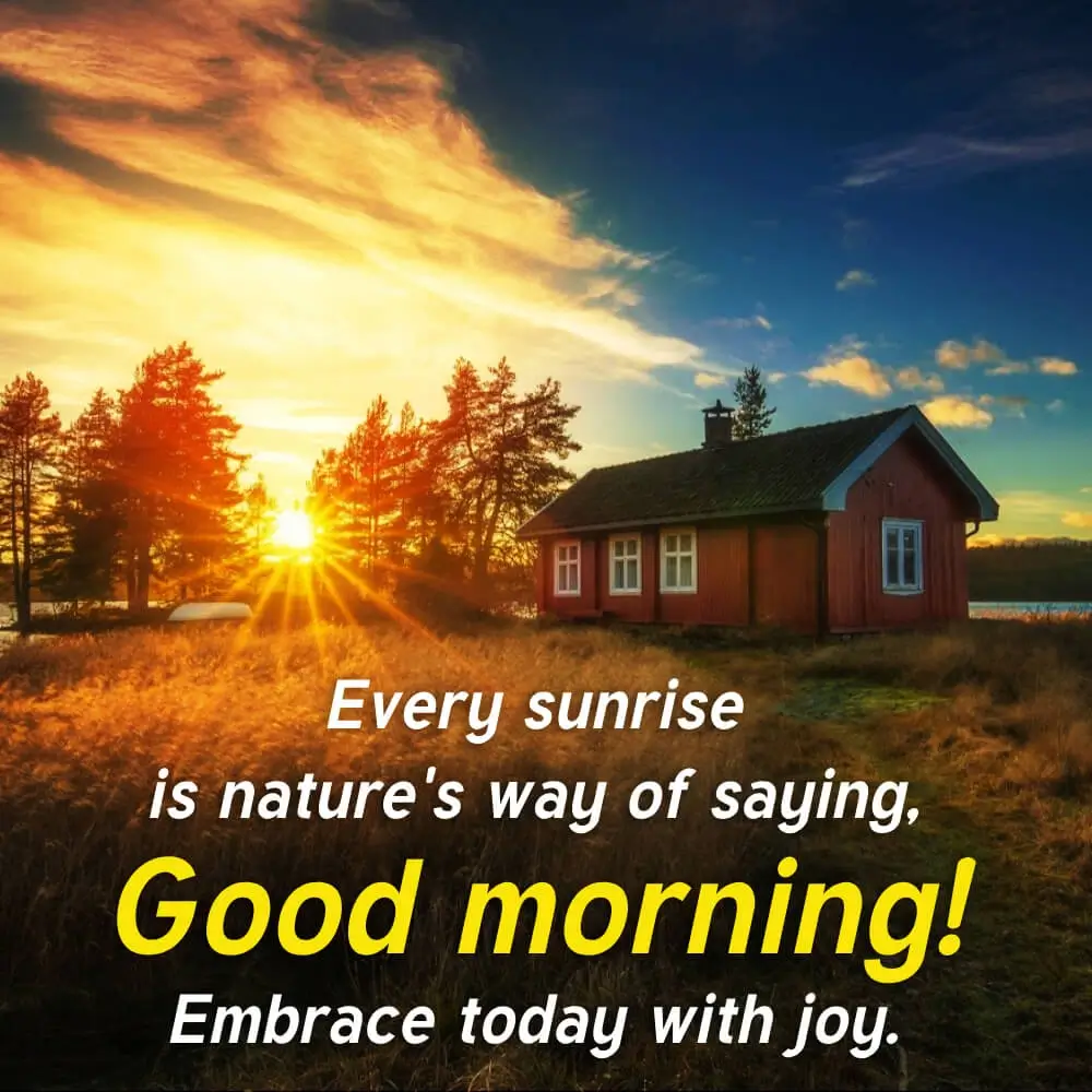 Good Morning Sunrise Hd