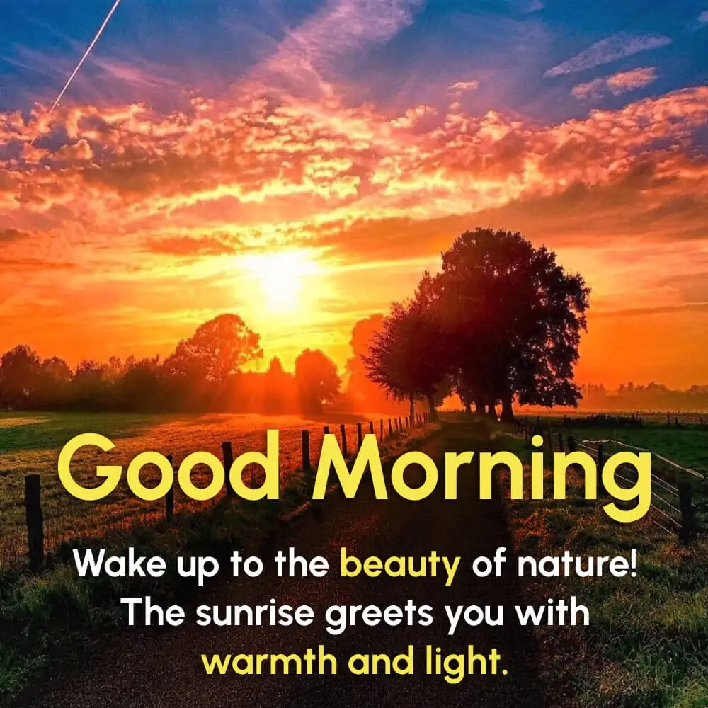 Good Morning Sunrise Pictures Free Download