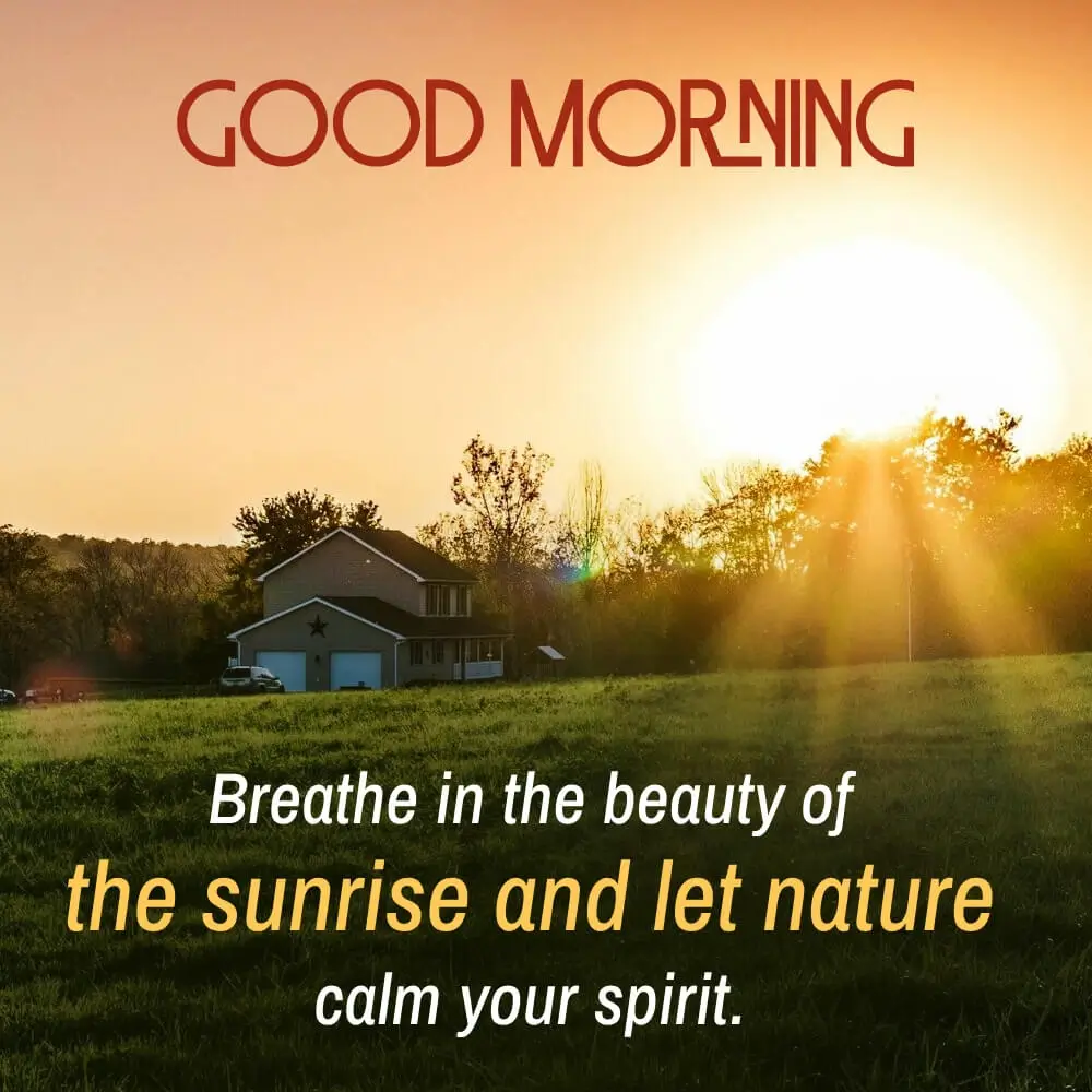 Good Morning Sunrise Wishes Images And Greetings