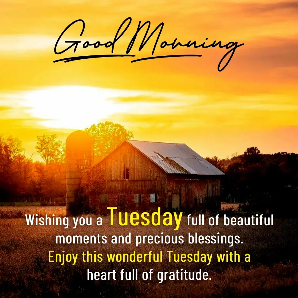 Good Morning Tuesday Positive Thoughts And Prayers