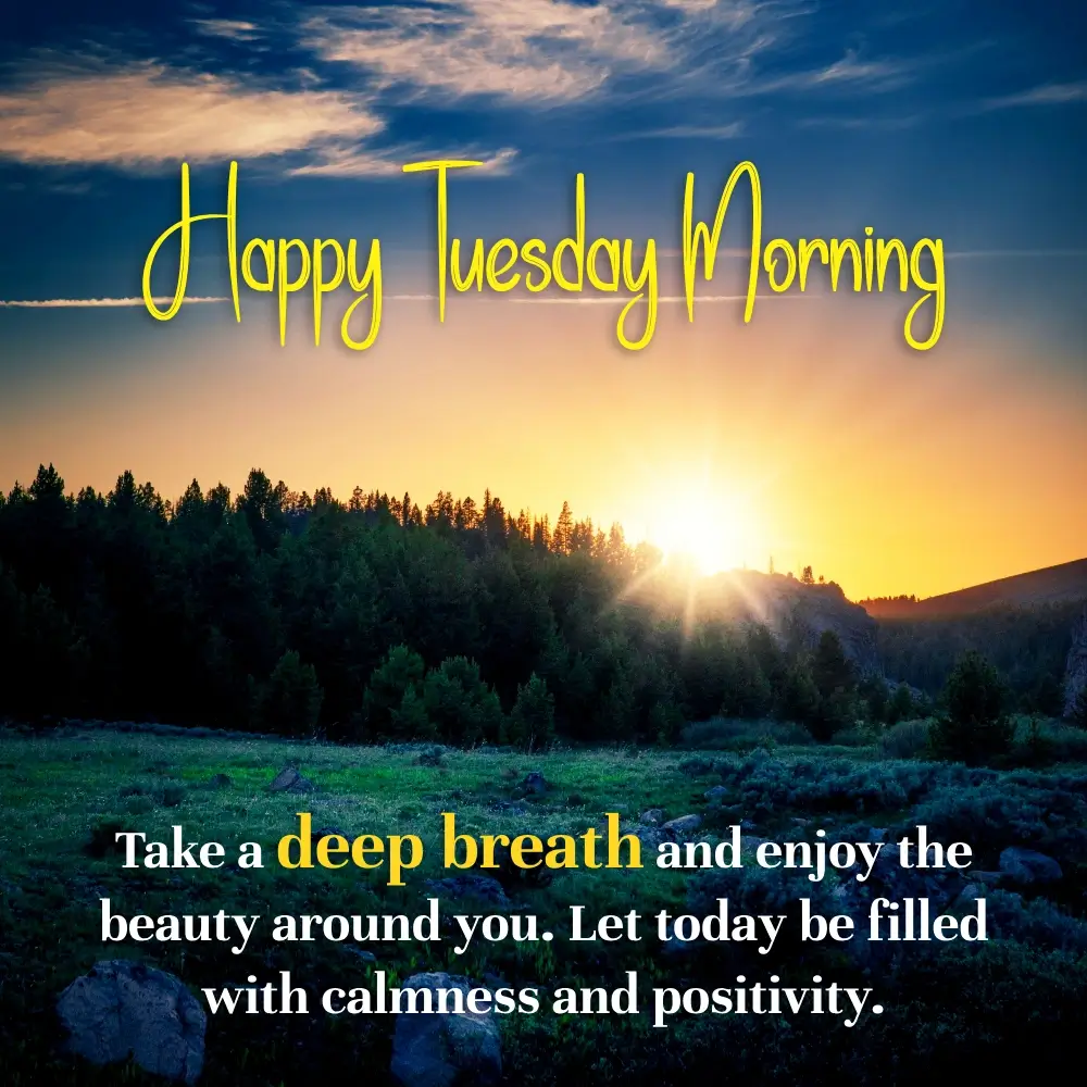 Good Morning Tuesday Positive Thoughts Images