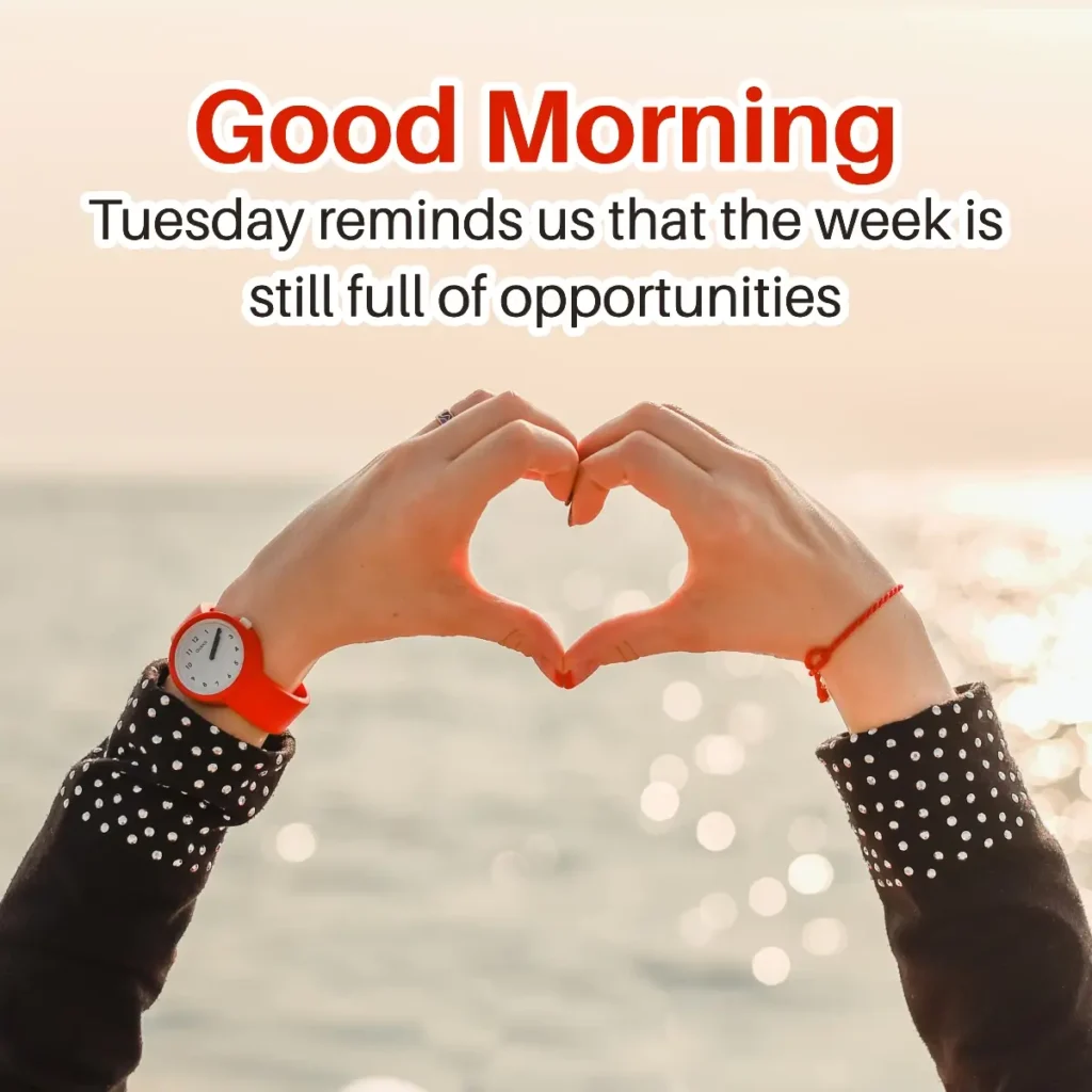 Good Morning Tuesday With Love