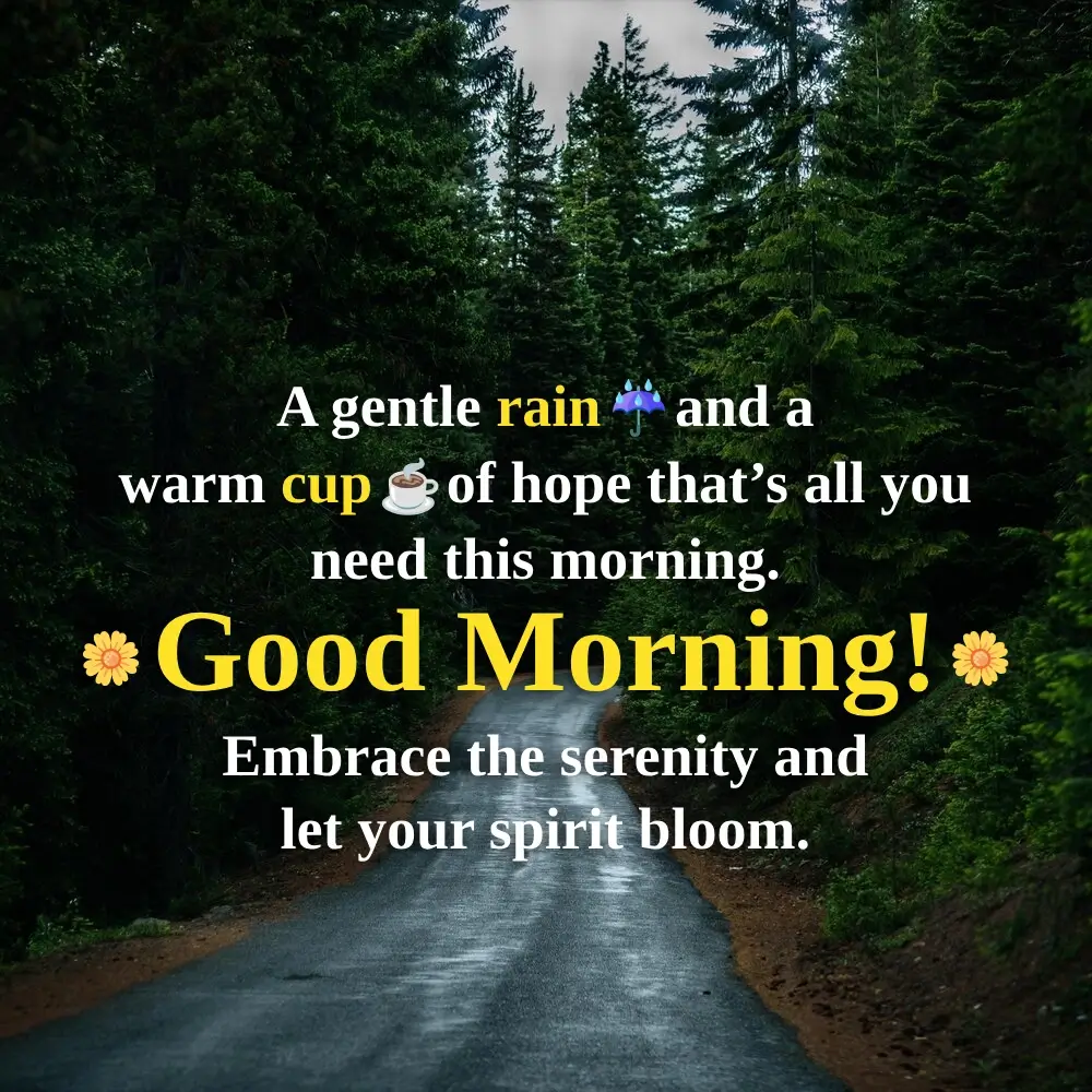 Good Morning Wallpaper Iphone