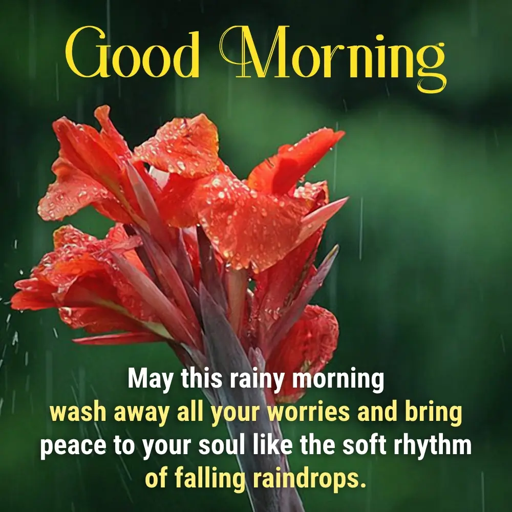 Good Morning Wallpaper Love