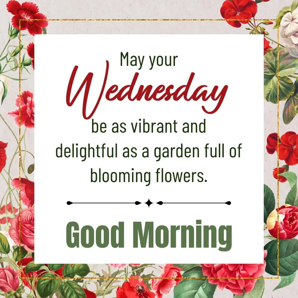 Good Morning Wednesday Gifs