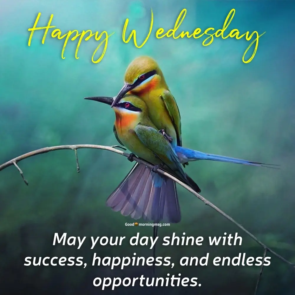 Good Morning Wednesday Images