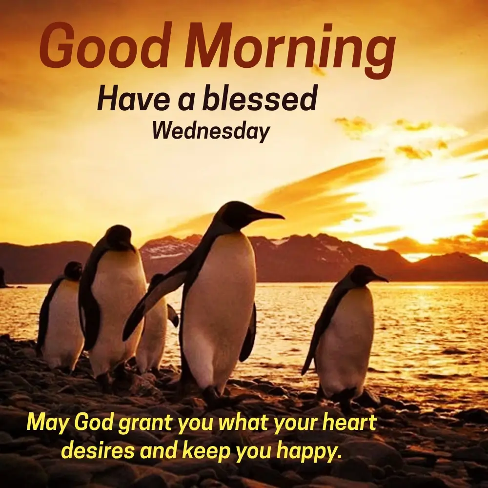 Good Morning Wednesday Inspirational Quotes