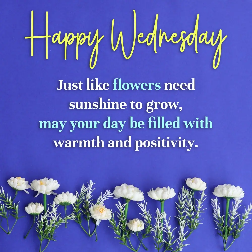 Good Morning Wednesday Picture