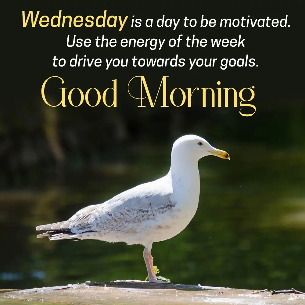 Good Morning Wednesday Positive Prayer For Friends