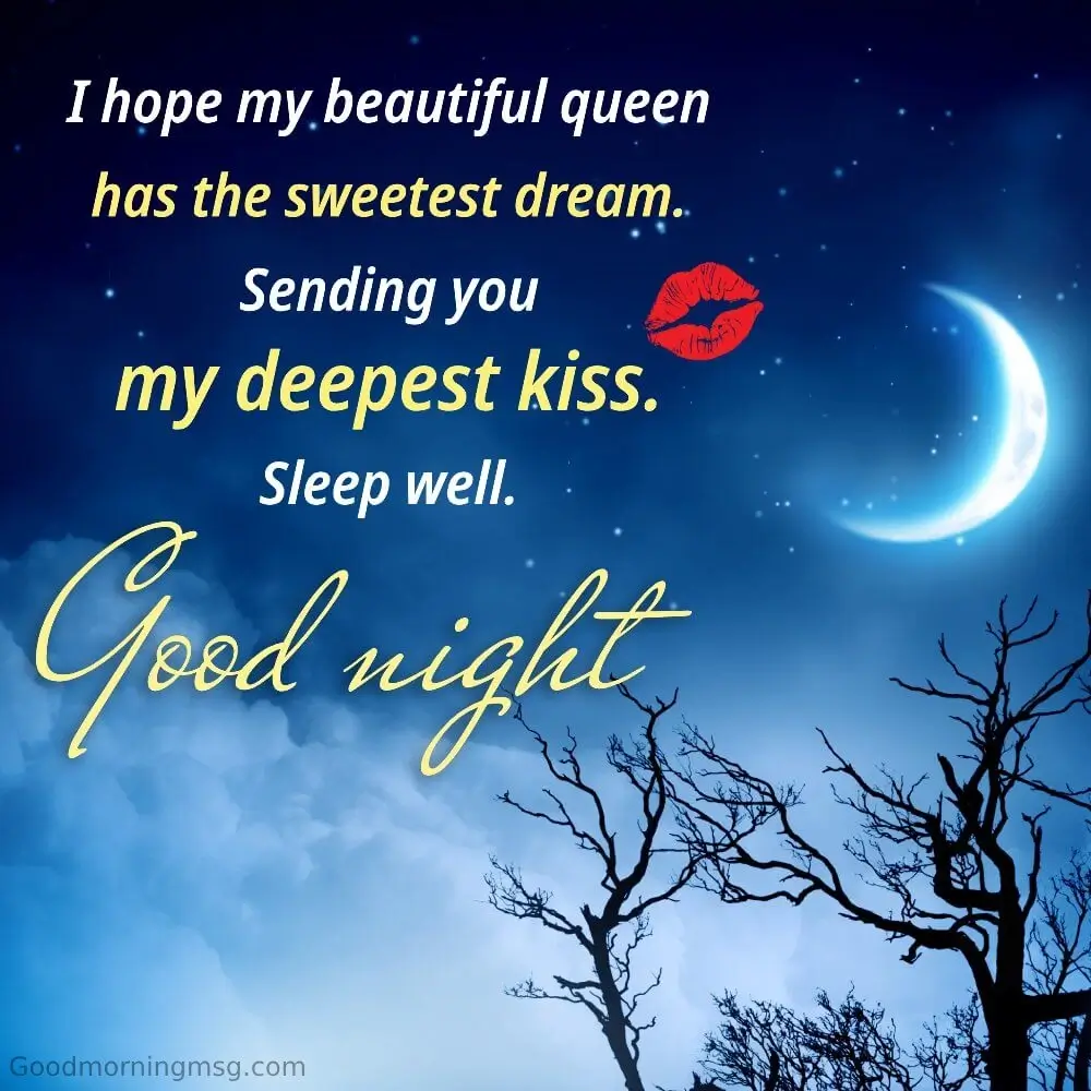 Good Night For My Love