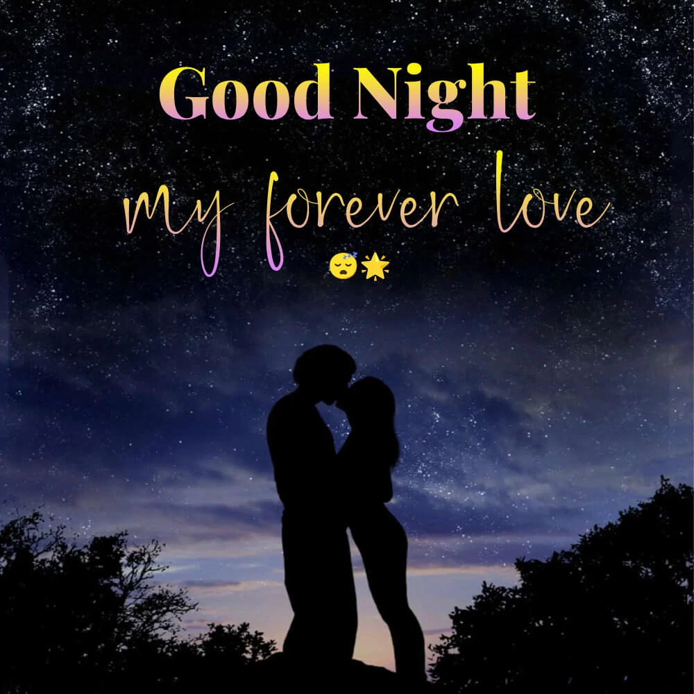 Good Night Love Quotes