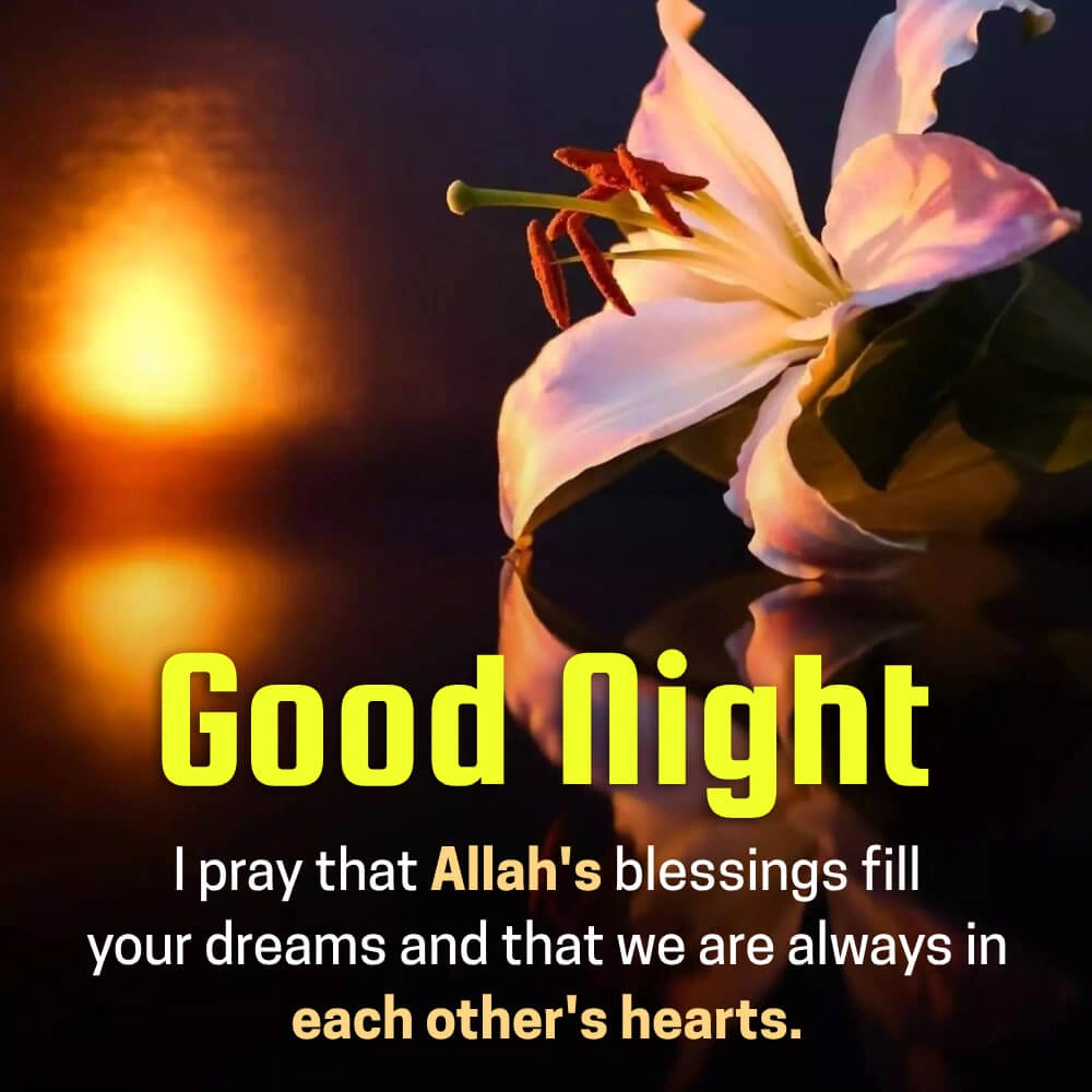 Good Night My Love Message For Him