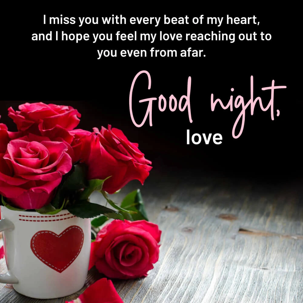 Good Night My Sister I Love You