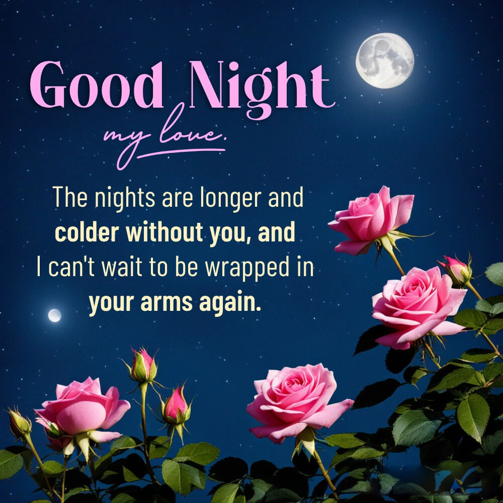 Good Night Sister Gif