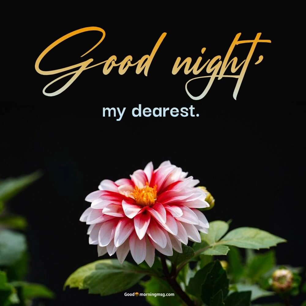 Good Nite Message