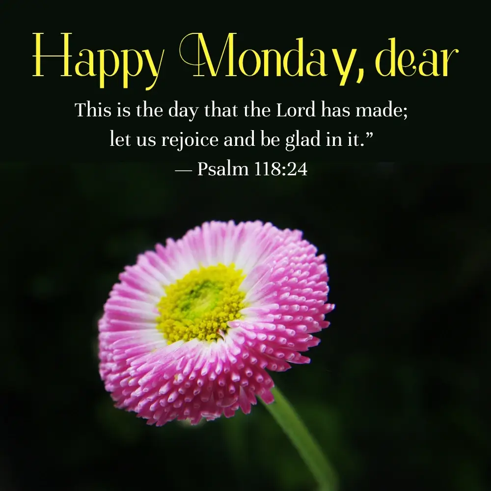 Happy Monday Funny Quotes
