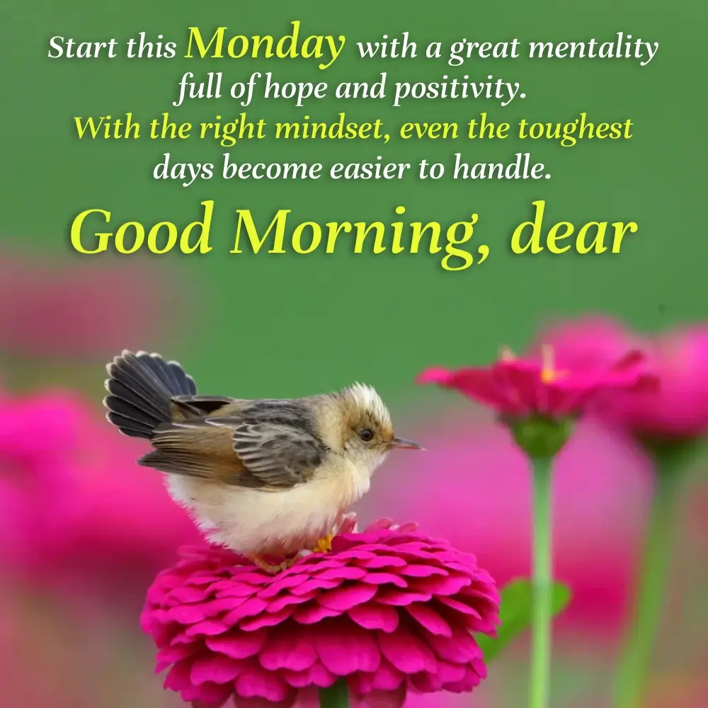 Happy Monday Good Morning