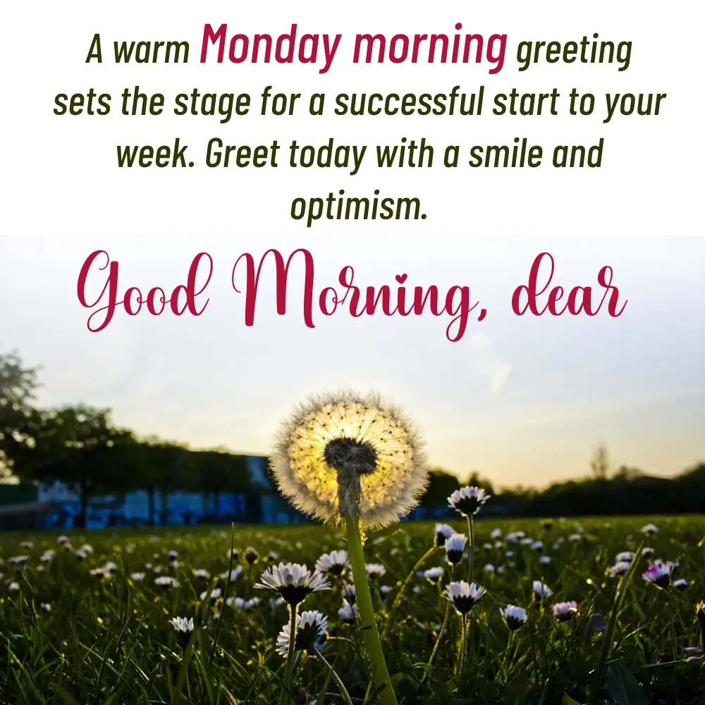 Happy Monday Hd Images Download For Whatsapp