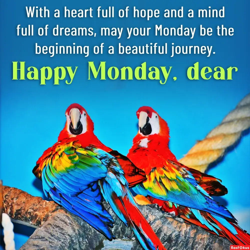 Happy Monday Positive Quotes