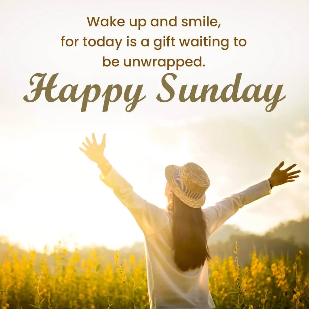 Happy Rainy Sunday