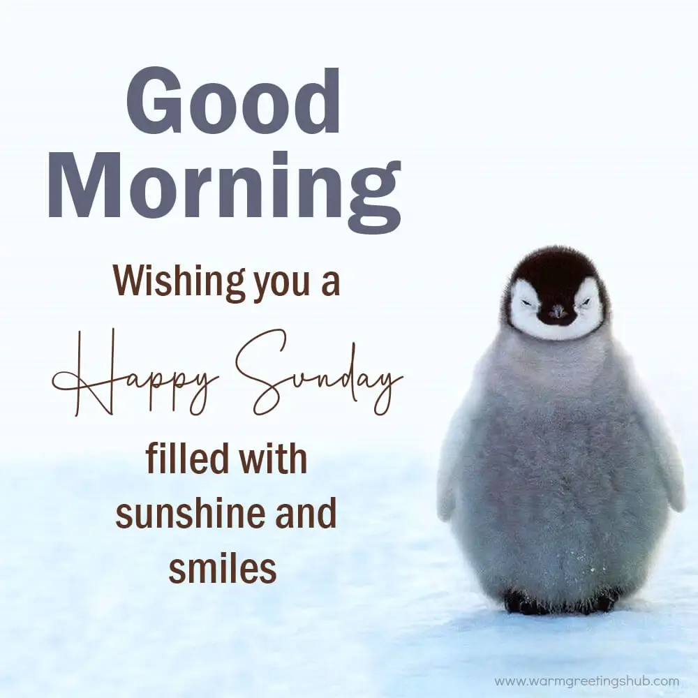 Happy Sunday Good Morning