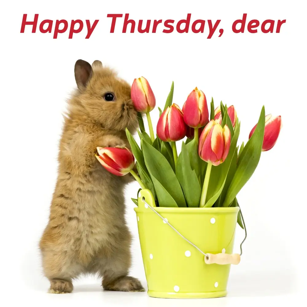 Happy Thursday Inspirational Quotes
