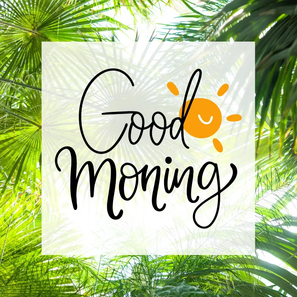 Happy Weekend Pic