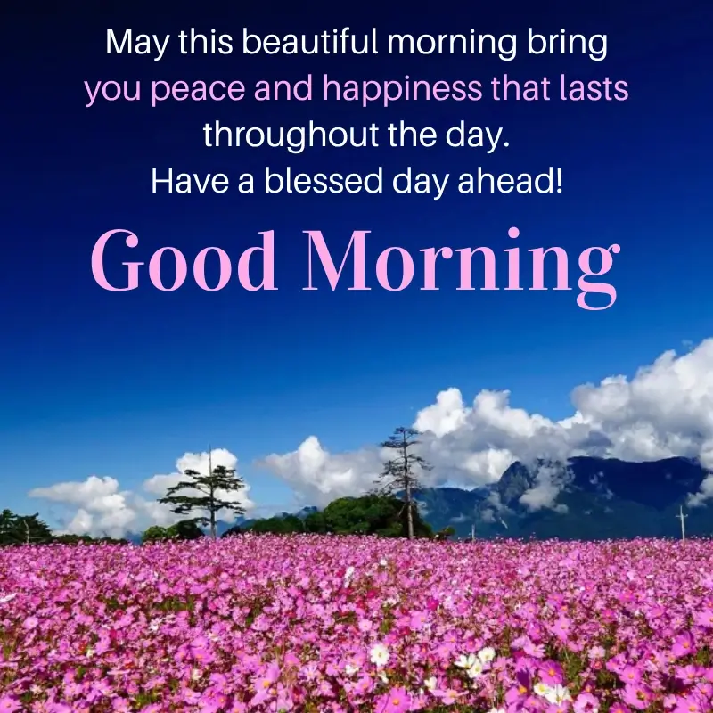 Holistic Morning Blessings