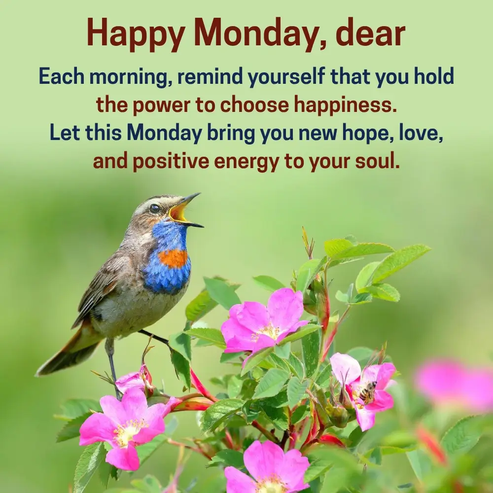 Inspirational Quotes Have A Great Week Ahead