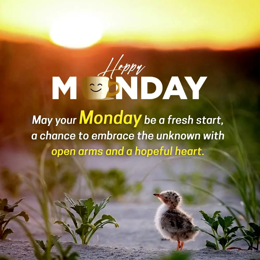 Monday Affirmation Quotes