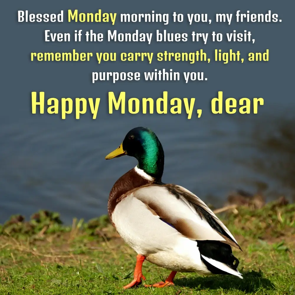 Monday Blessings Good Morning