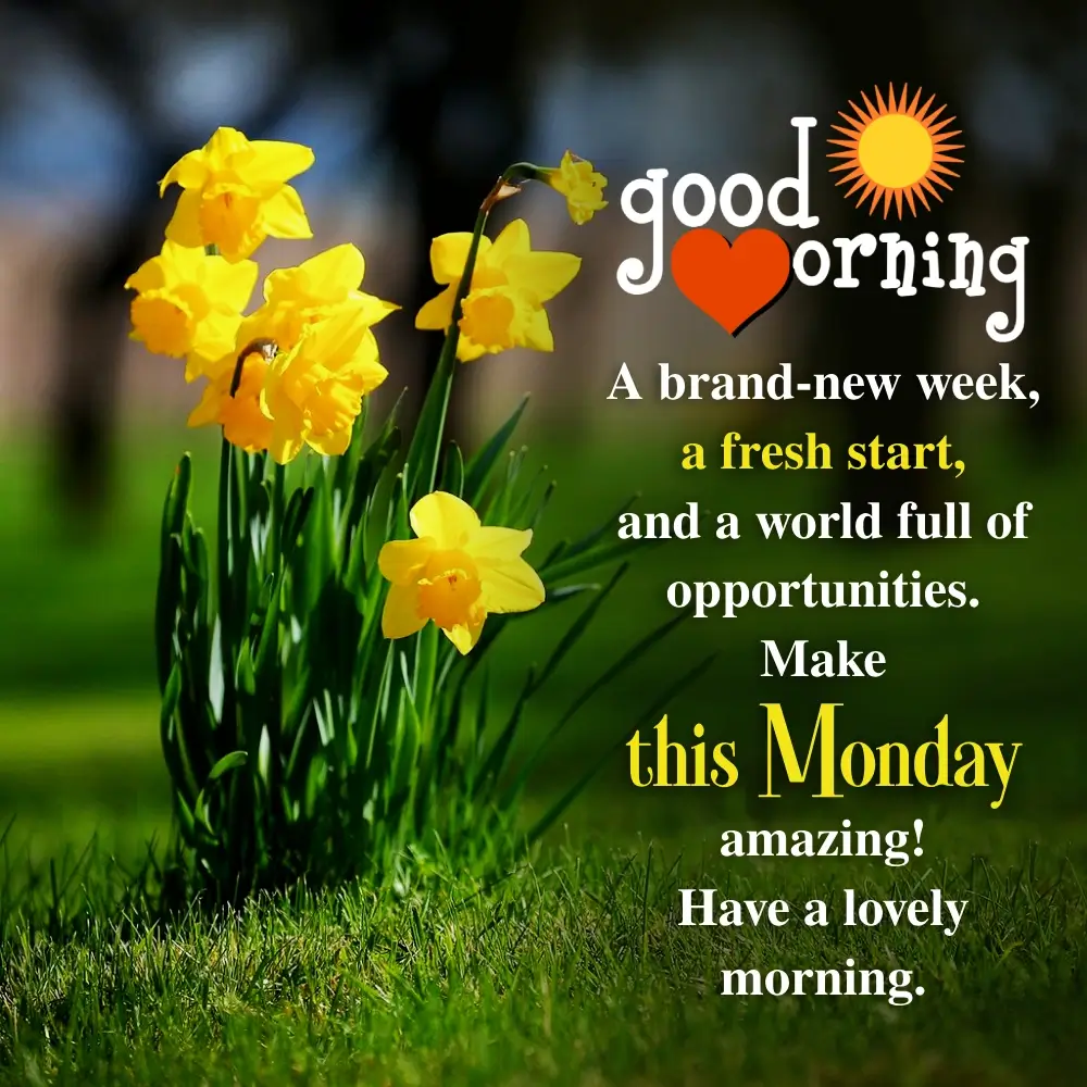 Monday Morning Motivation Quotes