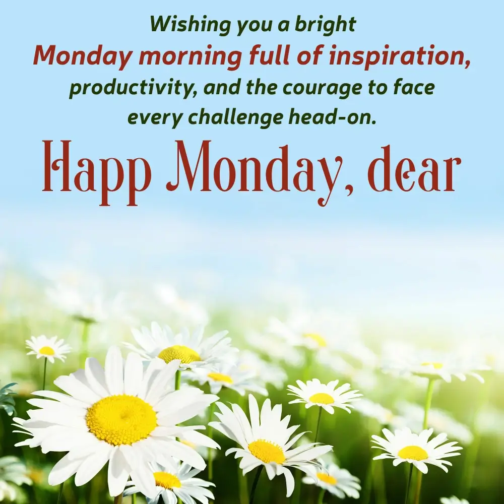 Monday Quotes Funny